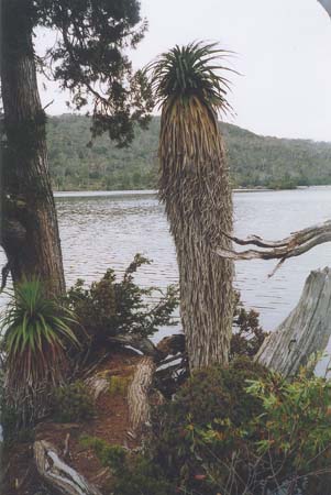 Tasmania Lake Windemere 2 2003